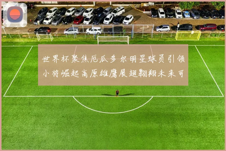 世界杯聚焦厄瓜多尔明星球员引领小将崛起高原雄鹰展翅翱翔未来可期